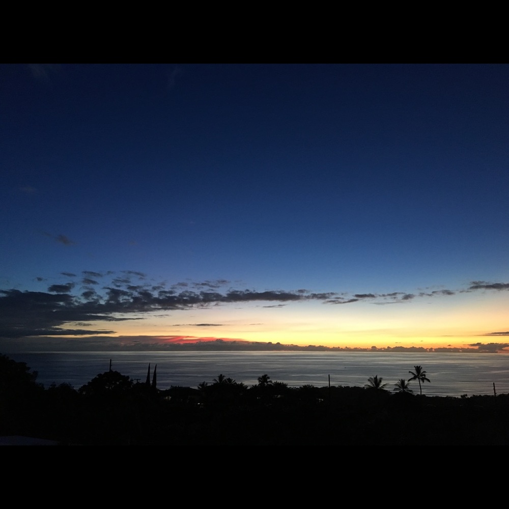 Meet your Posher, Cortney